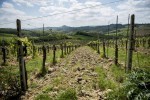 The Best of Tuscany 8 Thumb