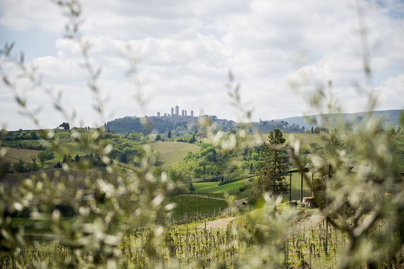 Private Tuscany in One Day 5 Full Image