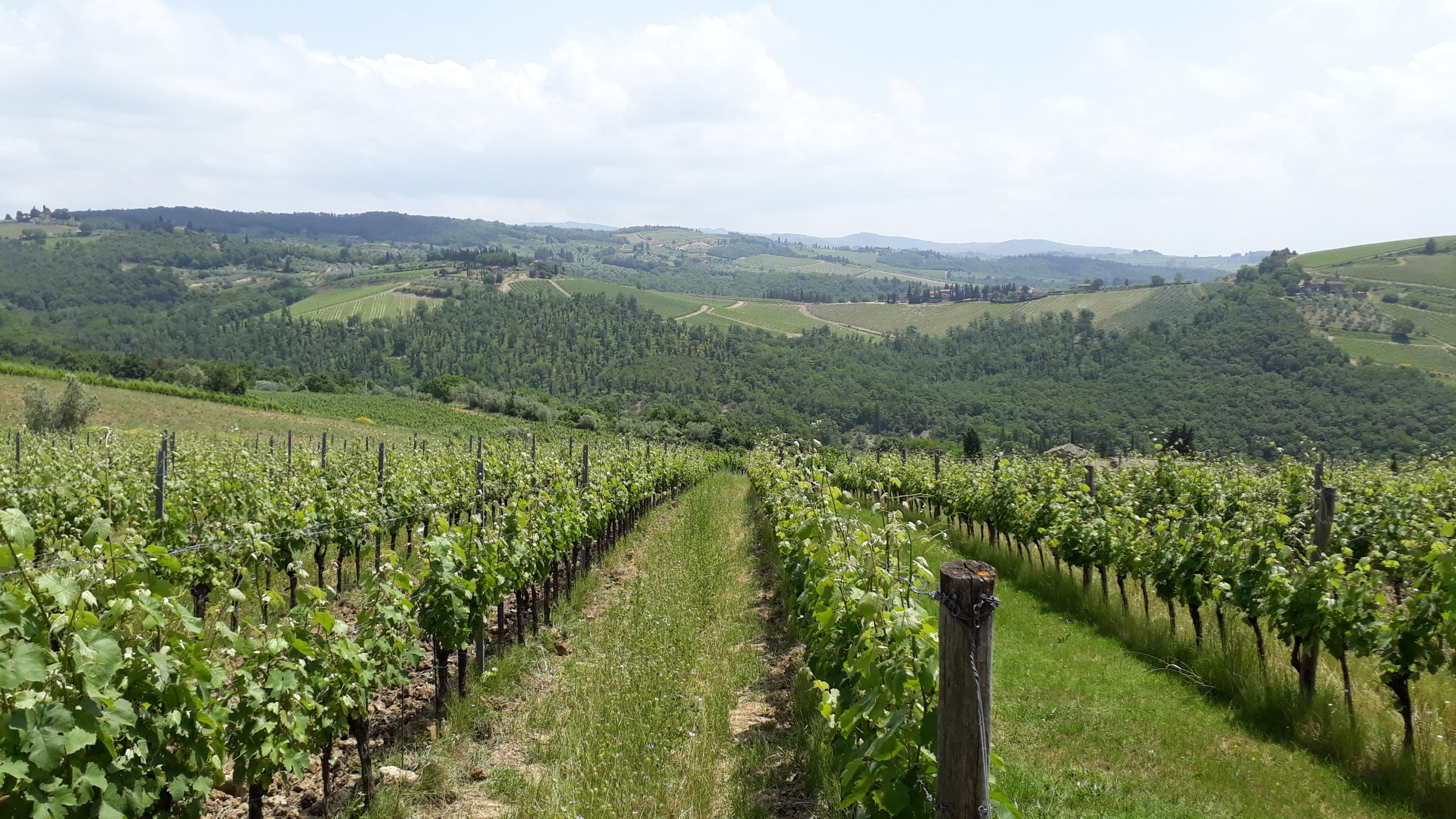 Best_Of_Tuscany