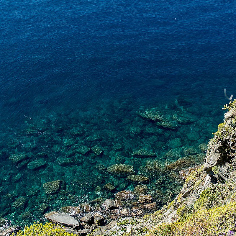 Cinque_Terre_Hike