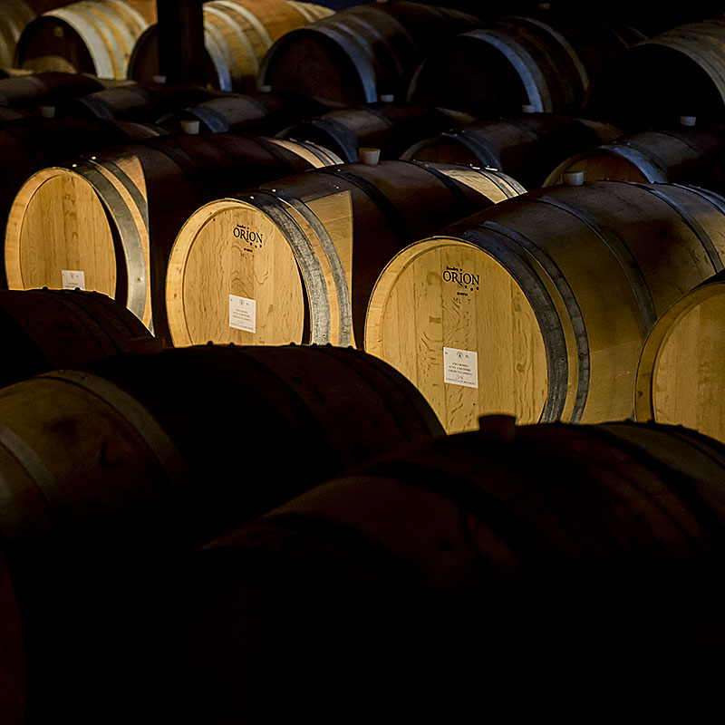 Chianti_Safari