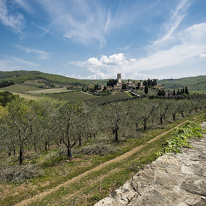 chianti-hills