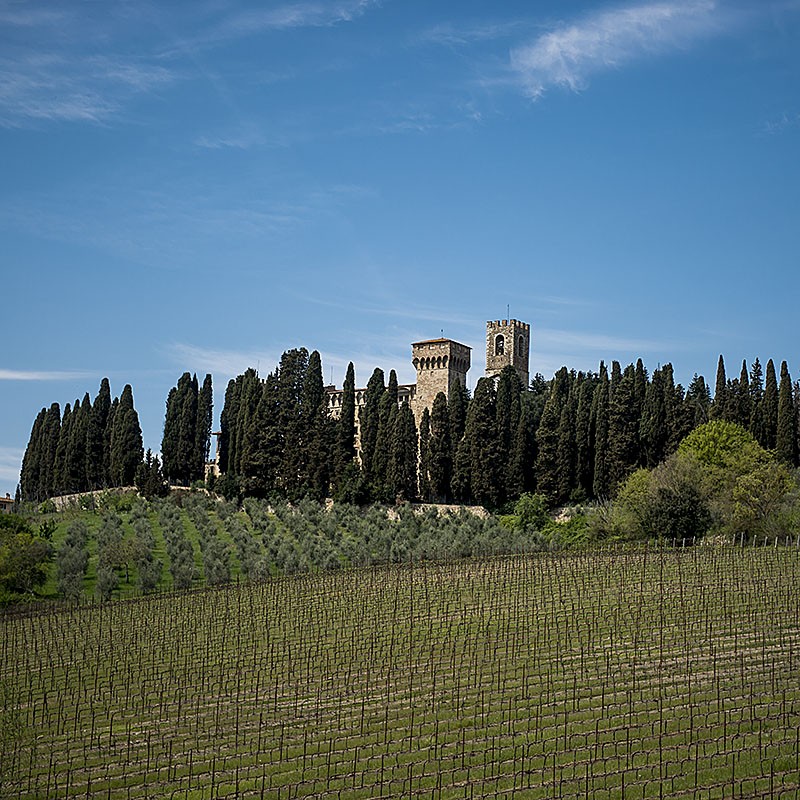 Chianti_Safari