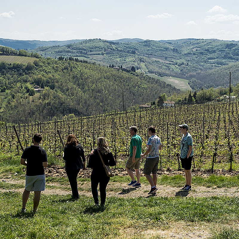 Best_Of_Tuscany