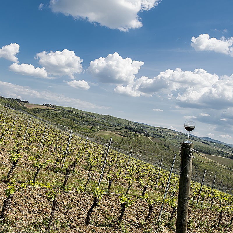 chianti-wine-tour