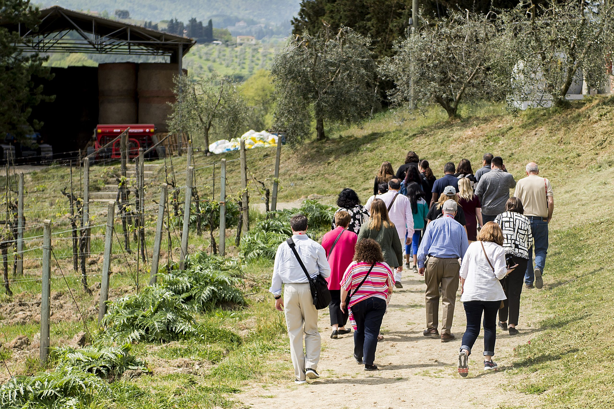 Chianti_Safari