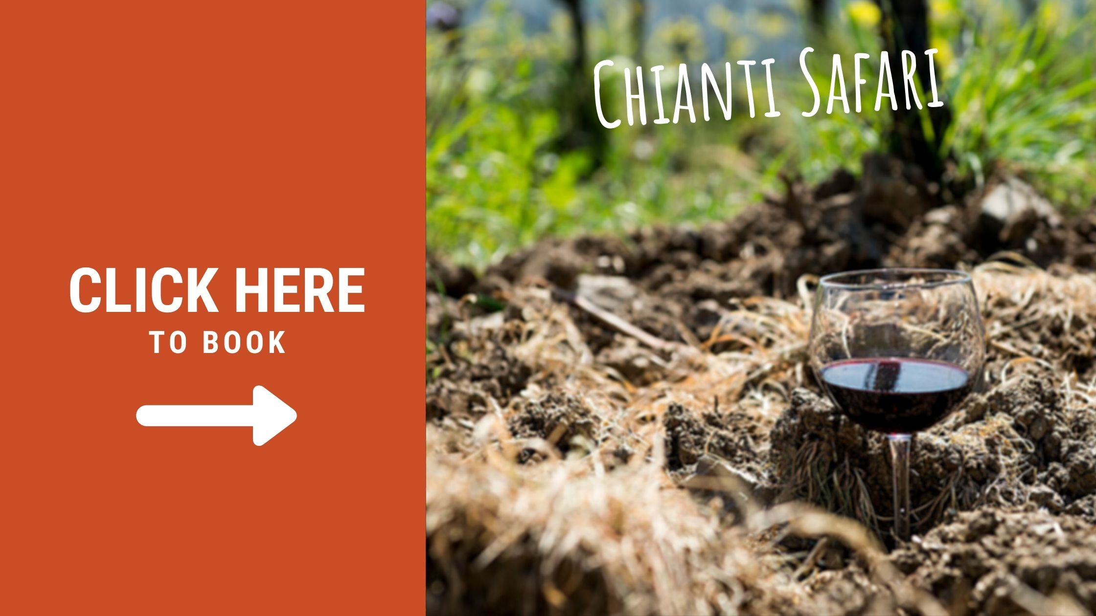 chianti safari