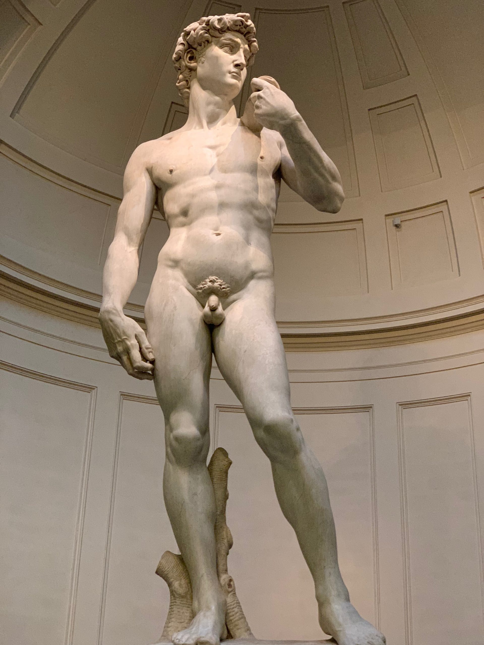 Florence_Accademia_David