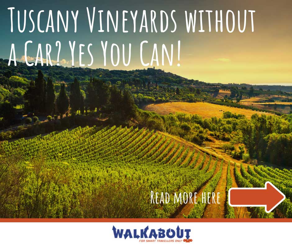 Tuscany Vineyards without a Car? Yes You Can!